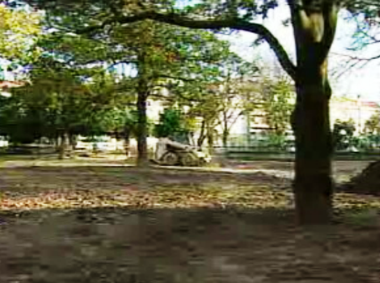 Requalificação do jardim do Príncipe Real II