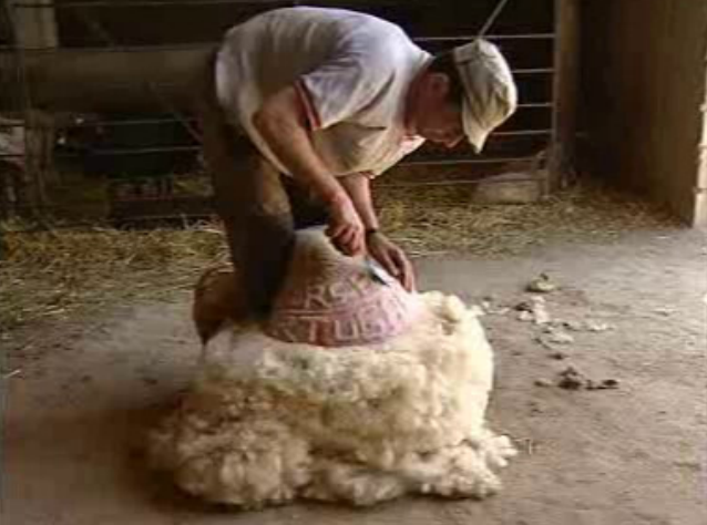 Tosquia apoia a Selecção Nacional