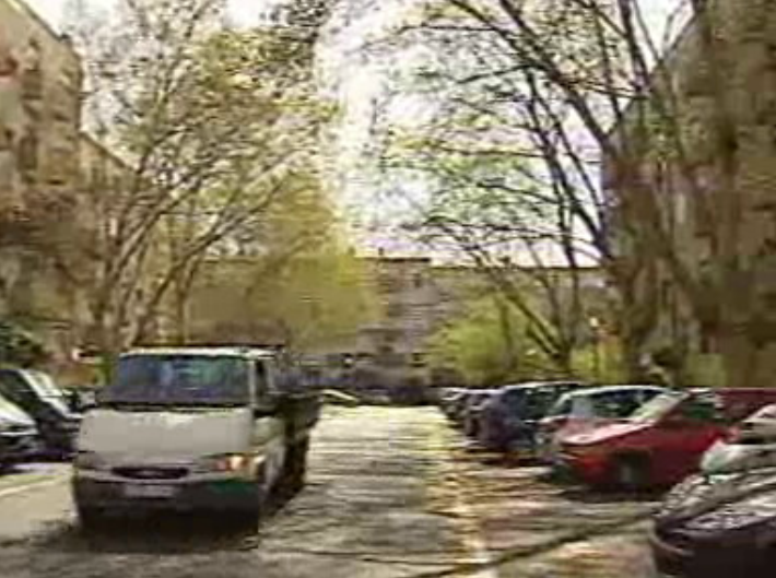 Plátanos nos Olivais