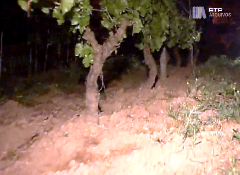 Bebé encontrado morto