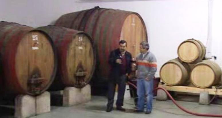 Vinhos da Região da Bairrada