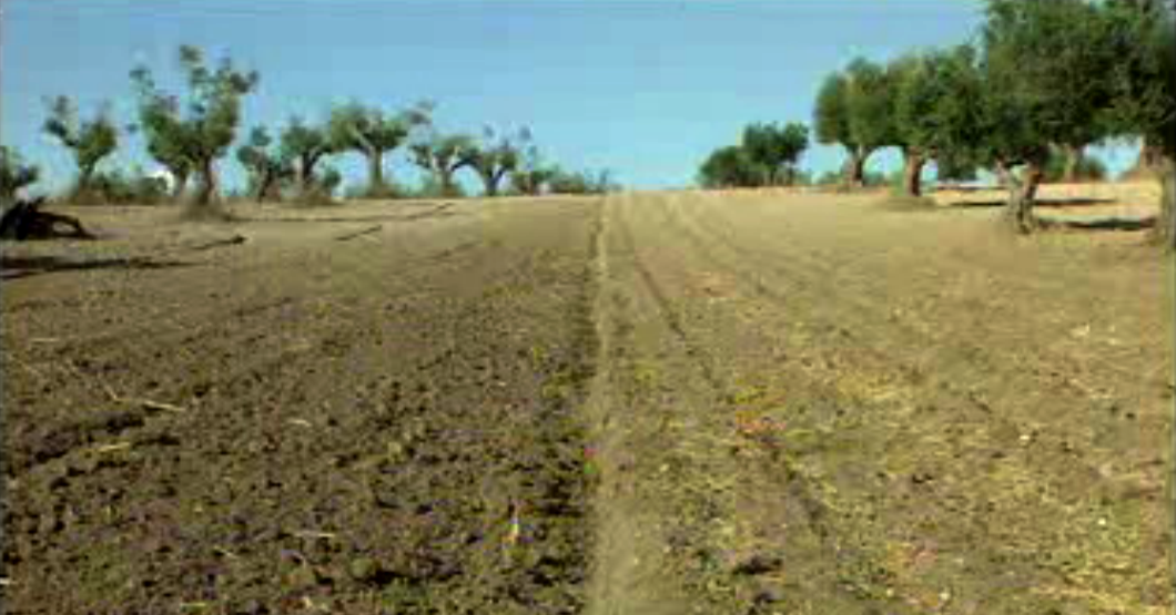 Arca de Noé – Parte I