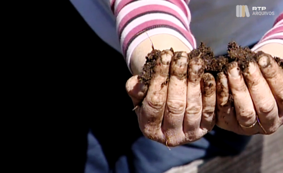 Cursos de Compostagem