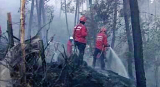 Incêndio florestal em Vila Real