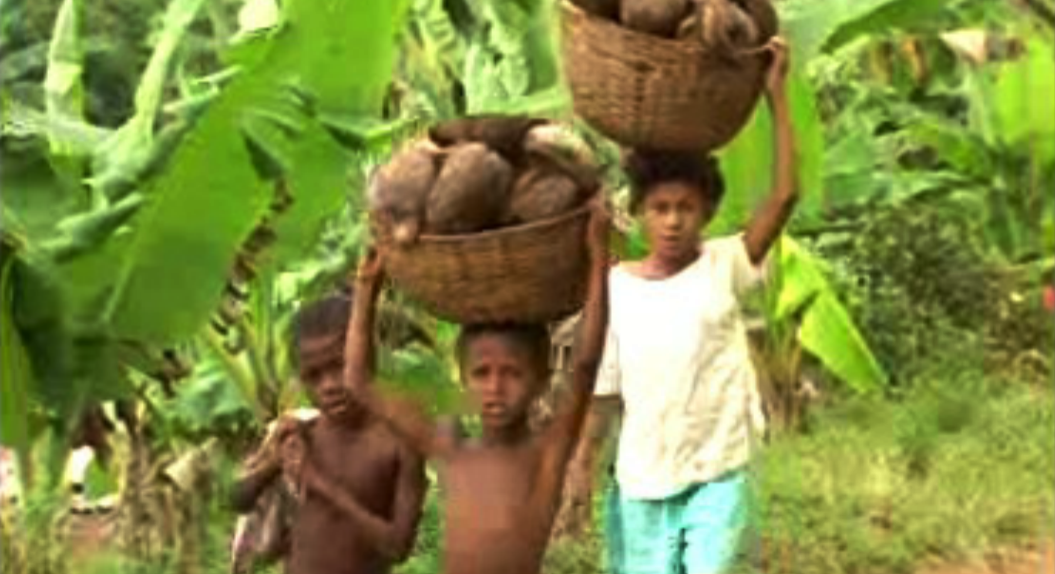 Fragmentos de um País – Parte I