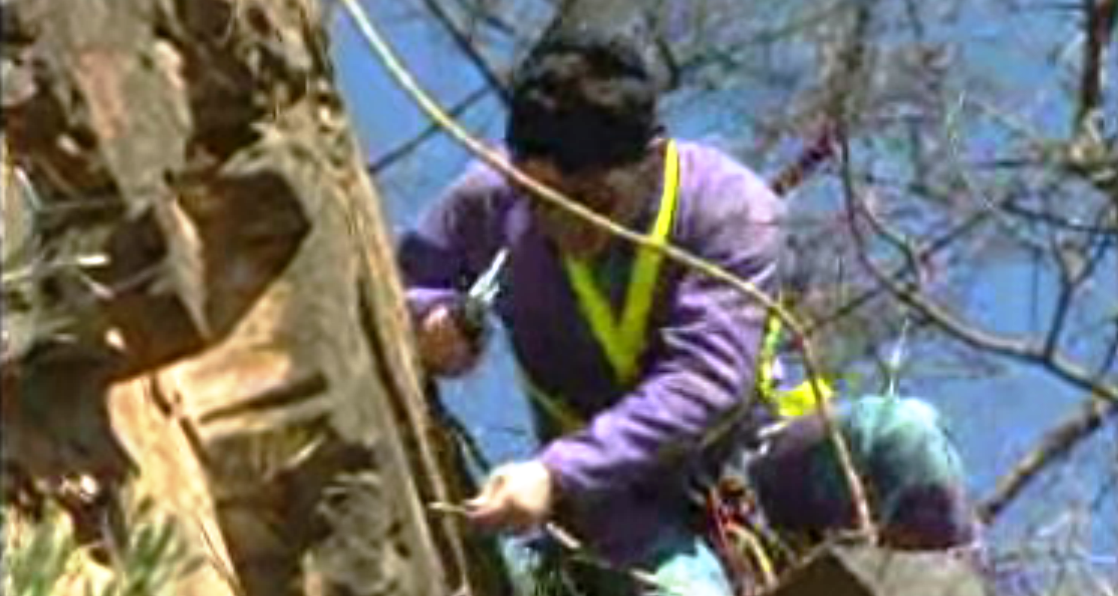 Rio Sagrado – Parte II