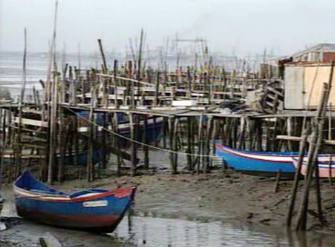 Avieiros em Escaroupim