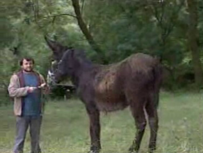 Roteiro turístico em Bragança