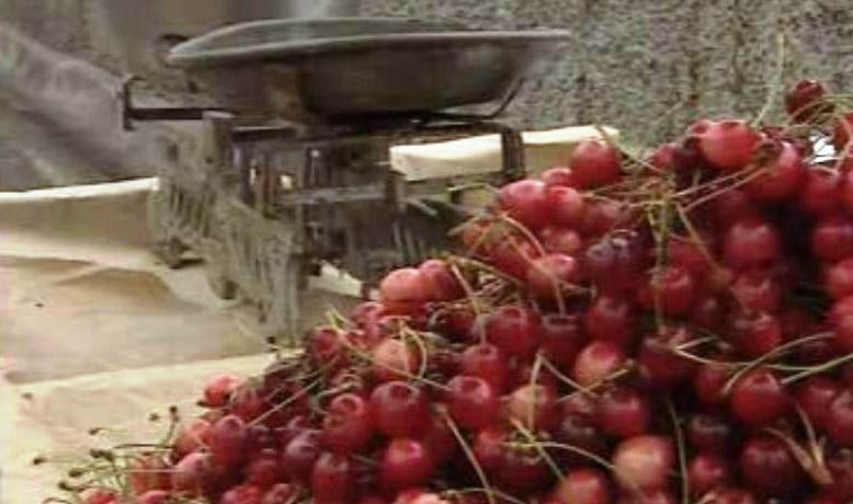 Festa da Cereja na Madeira
