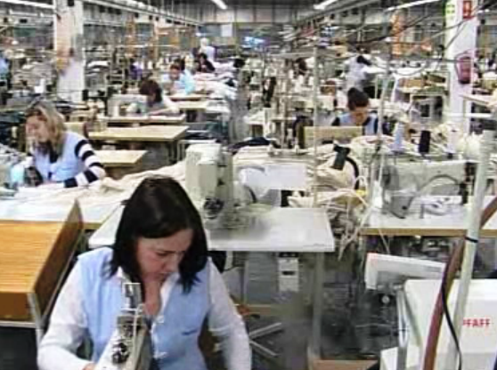 Camisas milionárias