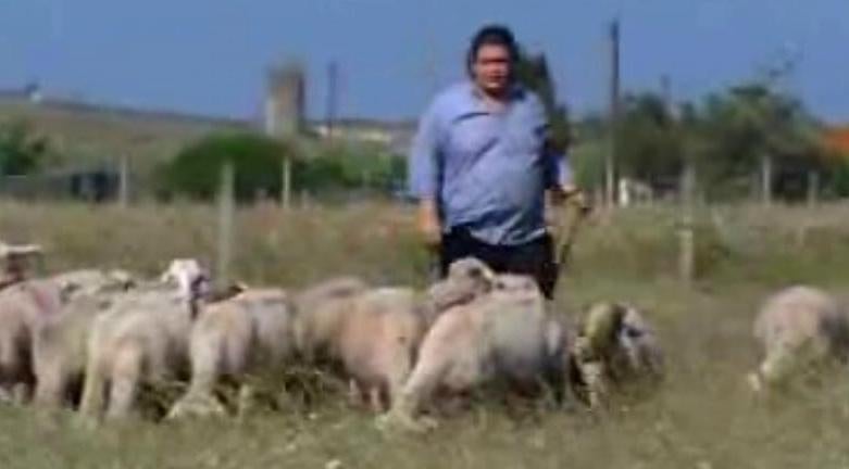 O Fado Sentido de Ricardo Ribeiro