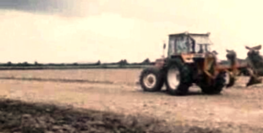 A agricultura portuguesa e a CEE