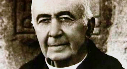 Francisco Manuel Alves, o Abade de Baçal
