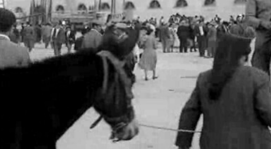 Feira Franca em Santarém