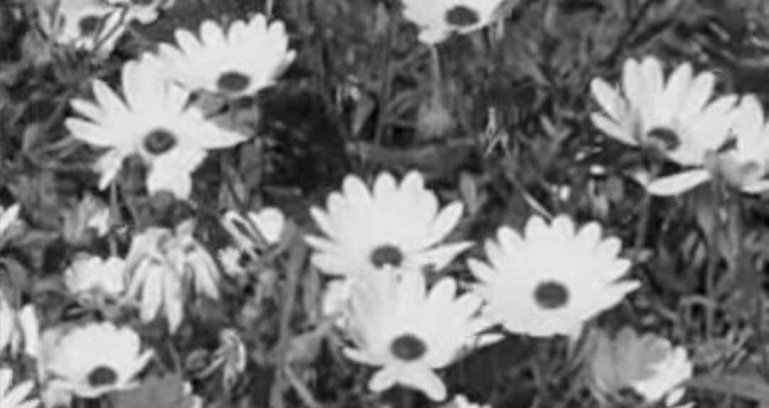 Chegada da Primavera