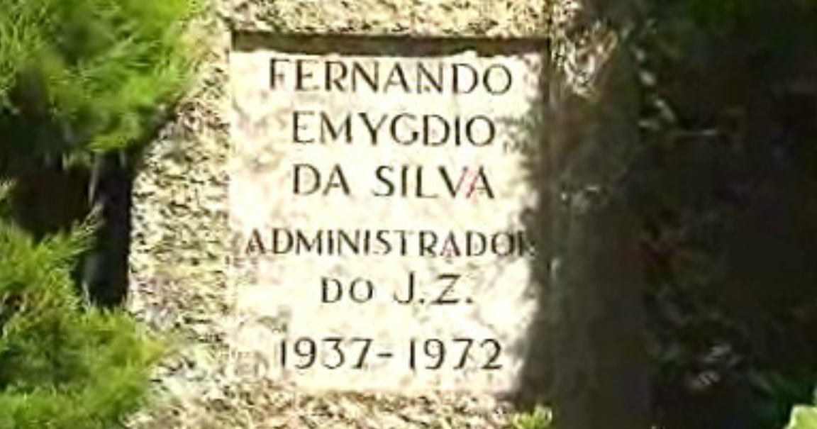 A Propósito de Feras: os Professores e o Zoo