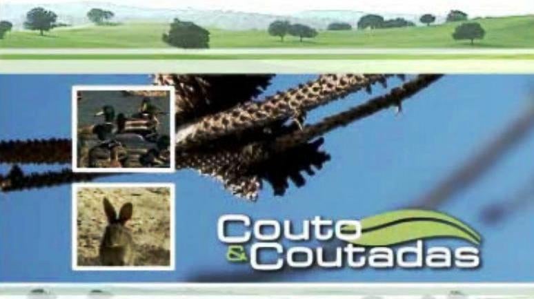 Couto & Coutadas