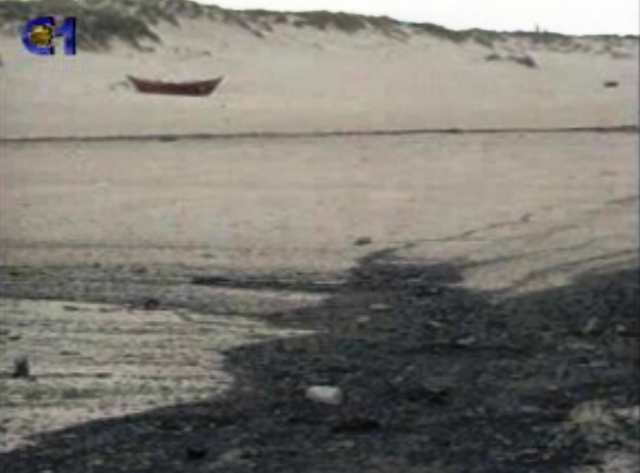 Manchas de petróleo na Figueira da Foz