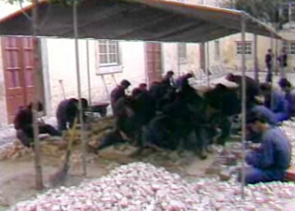 Programas de formação profissional