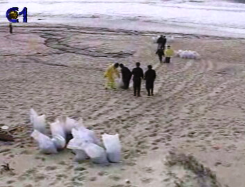 Maré negra a norte da Figueira da Foz