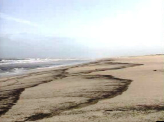 Manchas de petróleo na Figueira da Foz