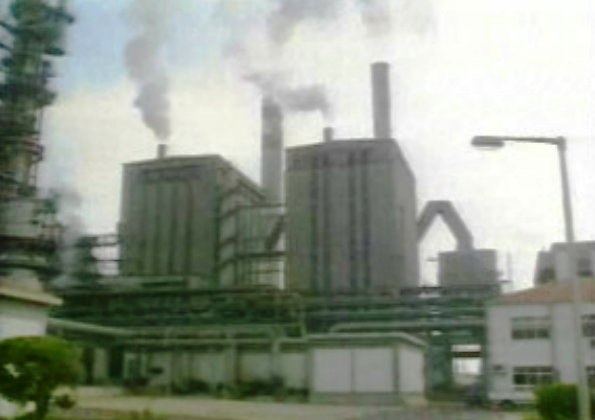 Punição a empresas que poluam ambiente