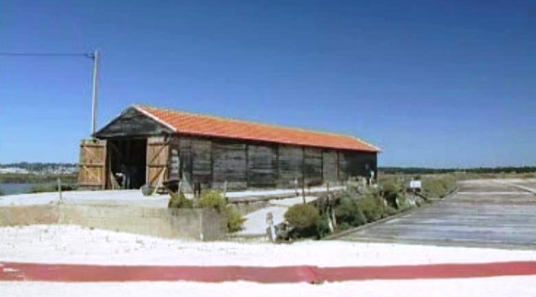 Figueira do Atlântico