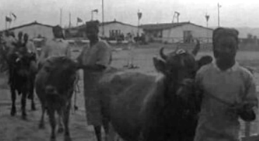 Feira do Chimoio em Moçambique