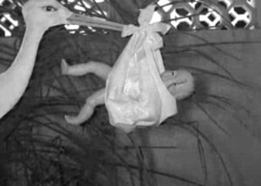 Dia da Mãe em Bissau