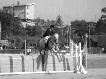 Concurso hípico em Oeiras