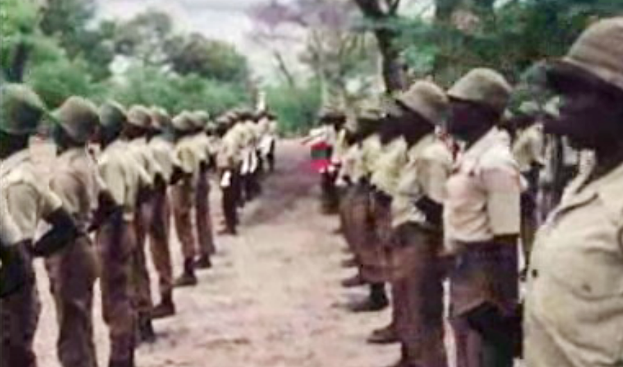 Jita, a Guerra dos Robinson – Parte I