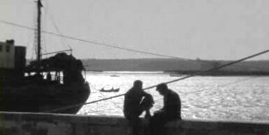 Festas de São Pedro no Montijo e no Seixal