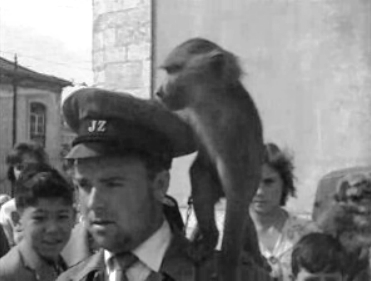 Dia de São Francisco de Assis