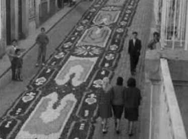 Tapetes de flores em Vila Real