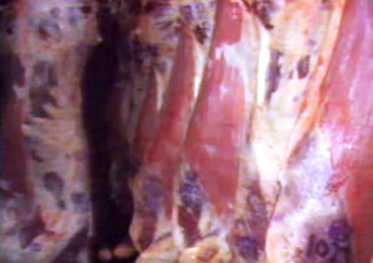 Comercialização de carne