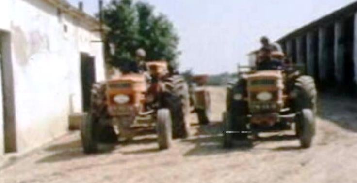 Crise nas Cooperativas Portuguesas