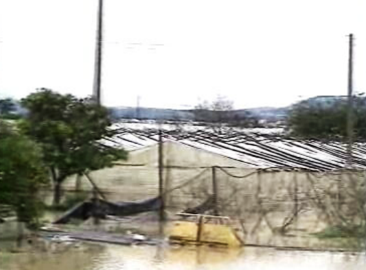 Estragos provocados pela chuva