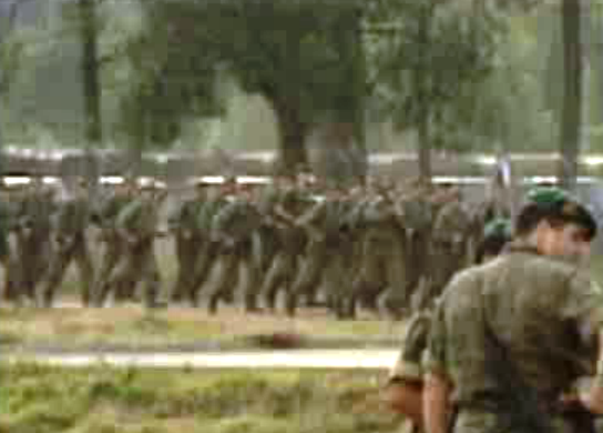 Manobras militares da Operação Viriato