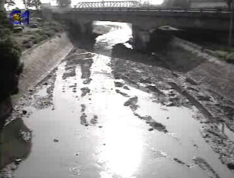 Poluição na ribeira do Jamor