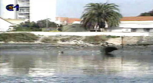 Ria Formosa poluída
