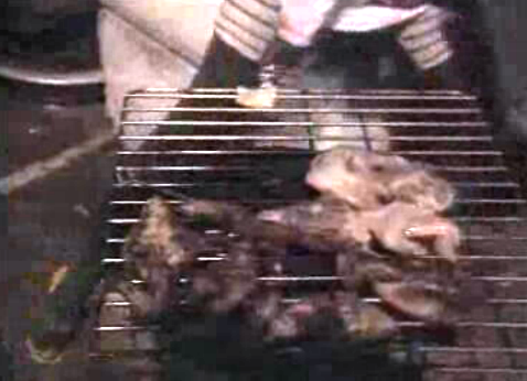 Vida quotidiana em Angola