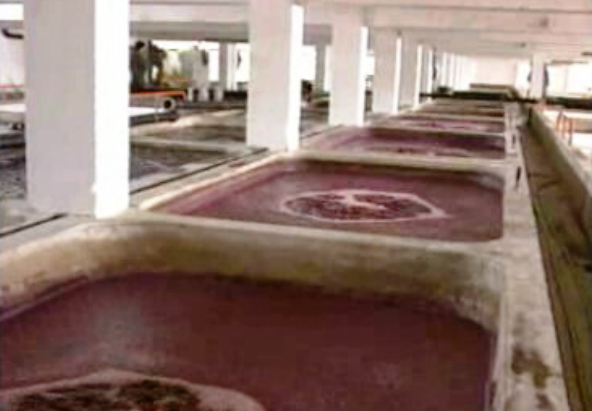 Reportagem sobre excedente de vinho