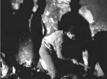 Incêndio na Azinhaga das Murtas