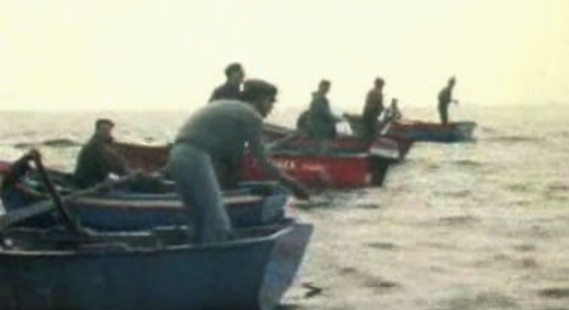 Pescadores da Berlenga