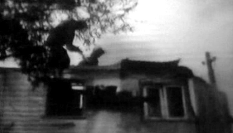 Incêndio na Curraleira