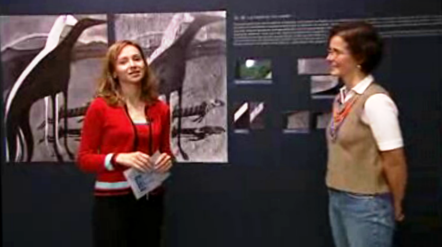 Exposição “Os Galgos, de Amadeo de Souza-Cardoso”