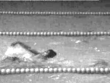 Natação: Futebol Clube do Porto