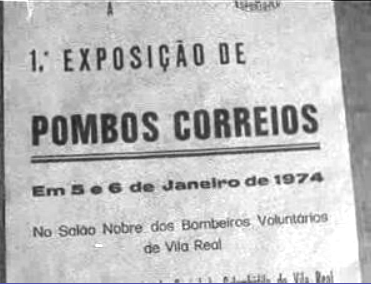 Exposição de pombos correios em Vila Real