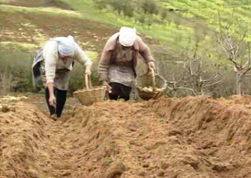 Ajudas comunitárias aos agriculores