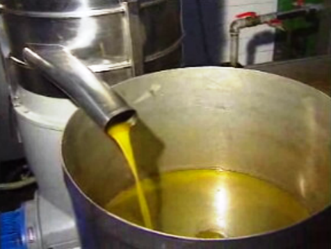 Queixas dos produtores de azeite